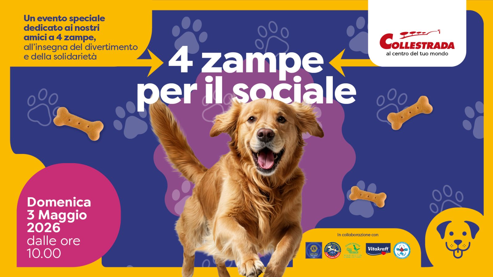 COLLESTRADA RescueDog Slider