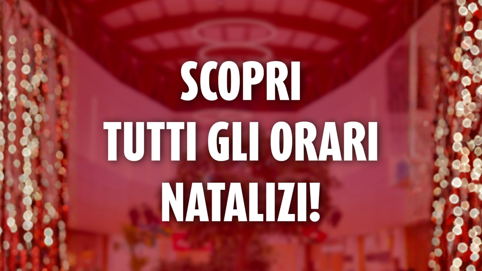 WHAT’S NEW Ecp (9)